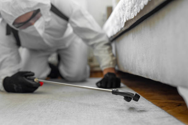 Professional Bed Bug Control technician working in Lake Orion, MI