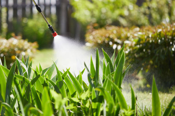 24/7 Emergency Bed Bug Control experts in Lake Orion, MI