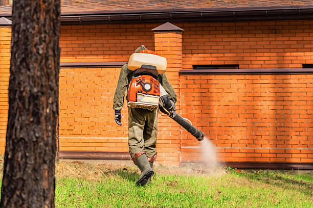 Trusted Cockroach Control service in Lake Orion, MI - Nex Pest Control